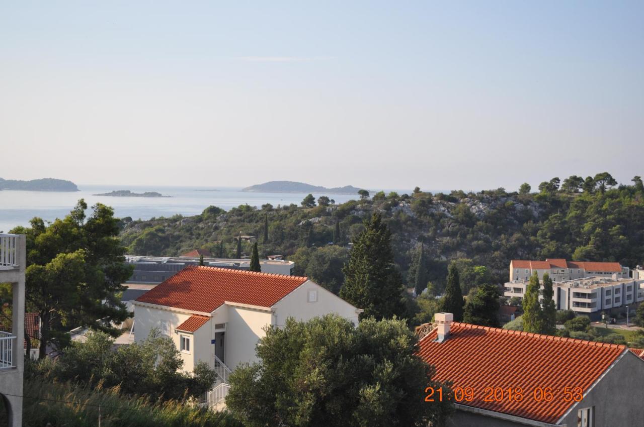 Zupa Dubrovacka